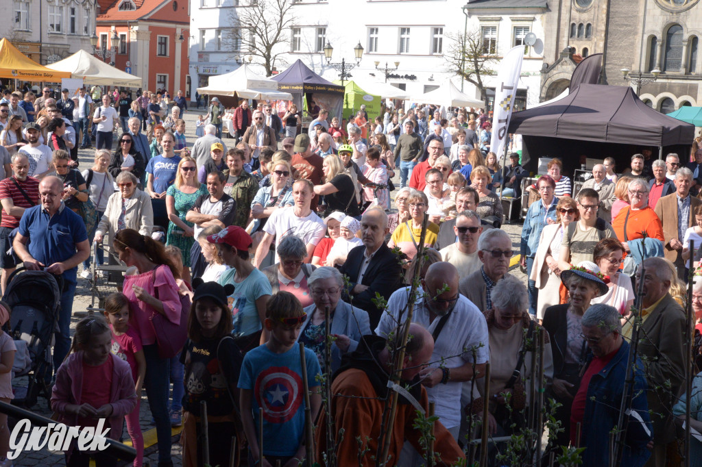 Tarnowskie Góry. Piękna z Rept