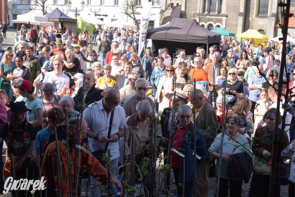 Tarnowskie Góry. Piękna z Rept