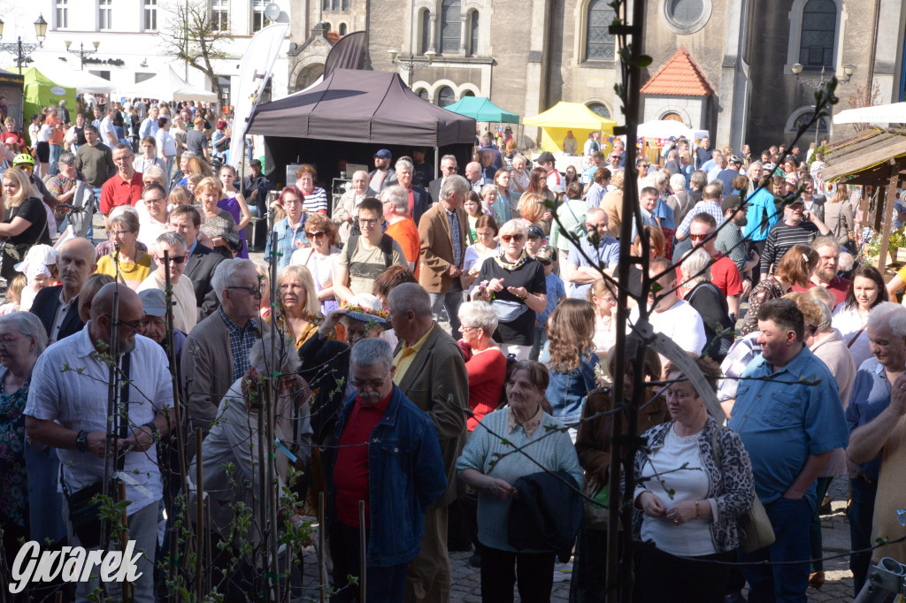 Tarnowskie Góry. Piękna z Rept