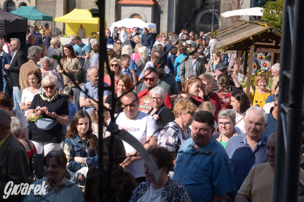 Tarnowskie Góry. Piękna z Rept