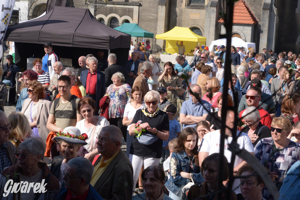 Tarnowskie Góry. Piękna z Rept