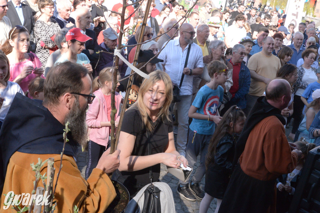 Tarnowskie Góry. Piękna z Rept