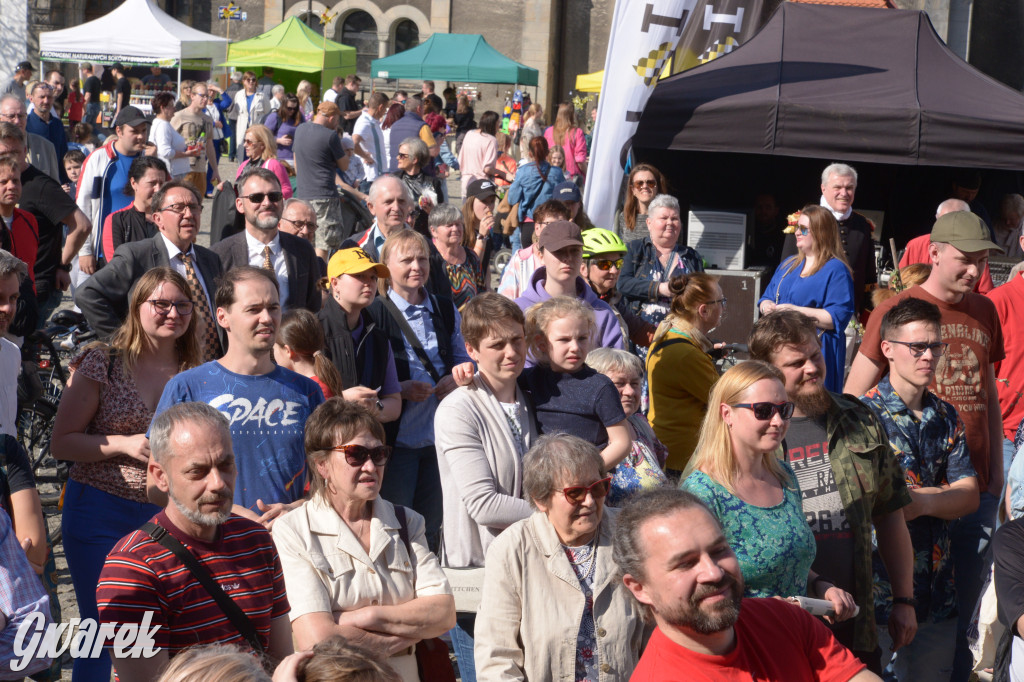 Tarnowskie Góry. Piękna z Rept