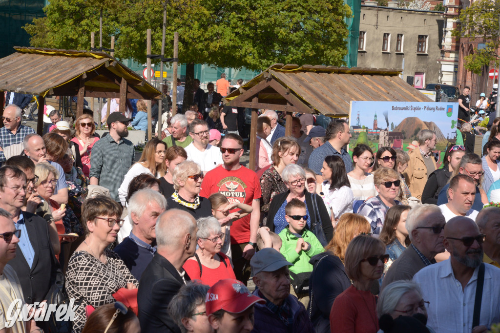 Tarnowskie Góry. Piękna z Rept