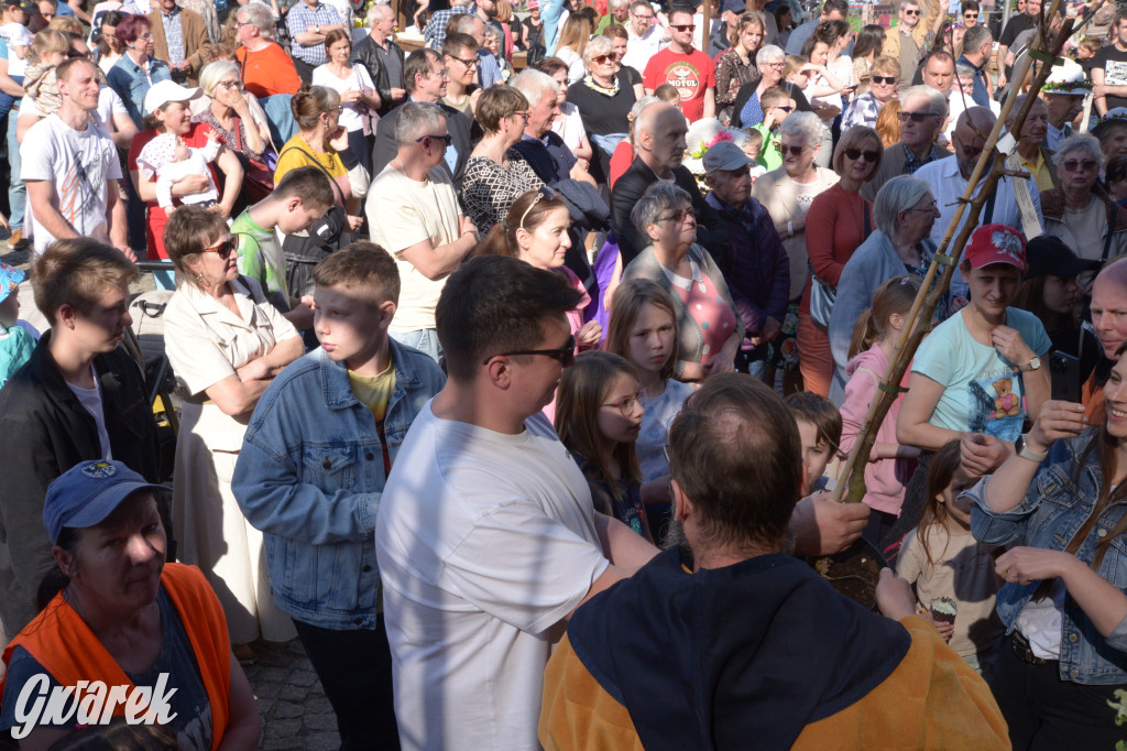 Tarnowskie Góry. Piękna z Rept