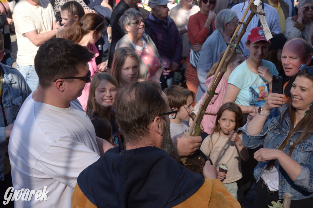 Tarnowskie Góry. Piękna z Rept