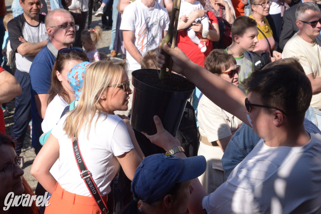 Tarnowskie Góry. Piękna z Rept