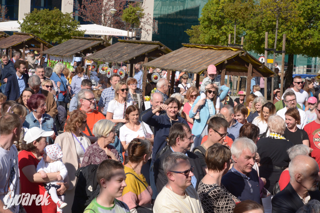 Tarnowskie Góry. Piękna z Rept