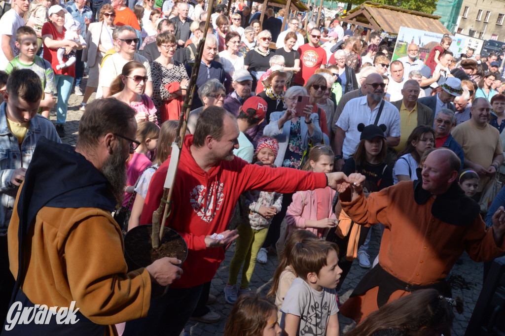 Tarnowskie Góry. Piękna z Rept