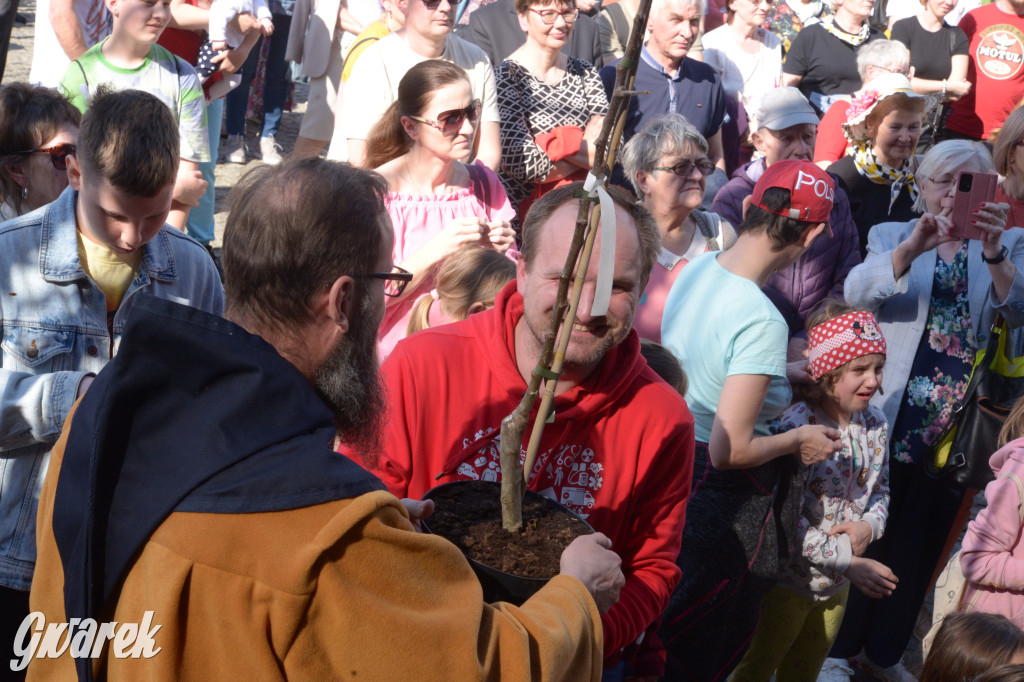 Tarnowskie Góry. Piękna z Rept