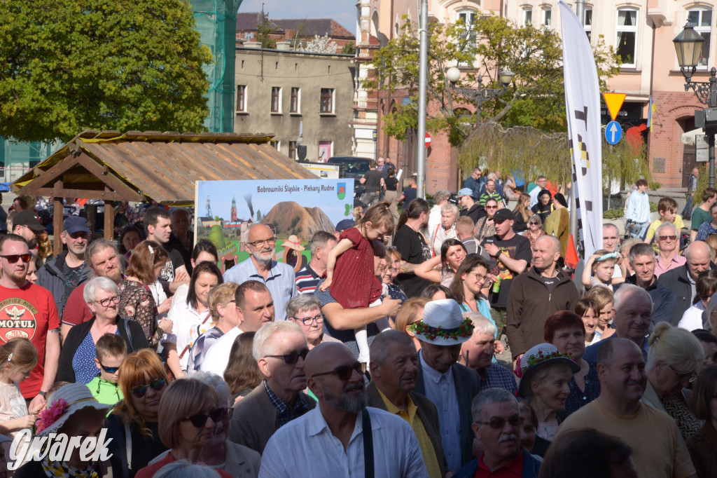 Tarnowskie Góry. Piękna z Rept