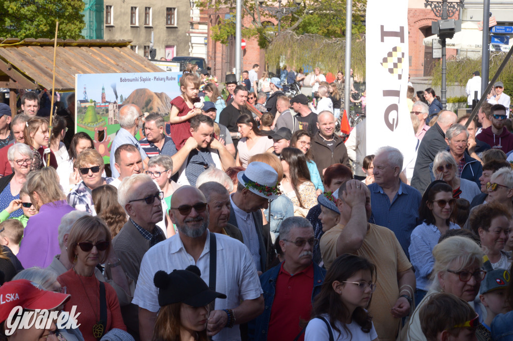 Tarnowskie Góry. Piękna z Rept