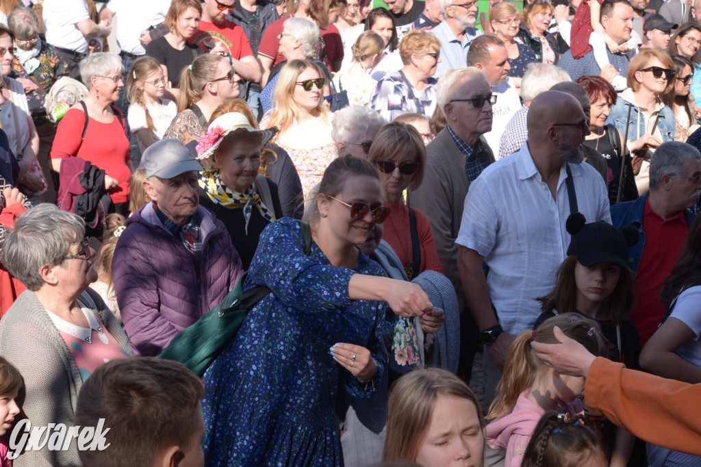 Tarnowskie Góry. Piękna z Rept