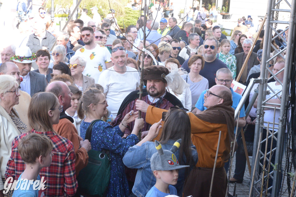 Tarnowskie Góry. Piękna z Rept