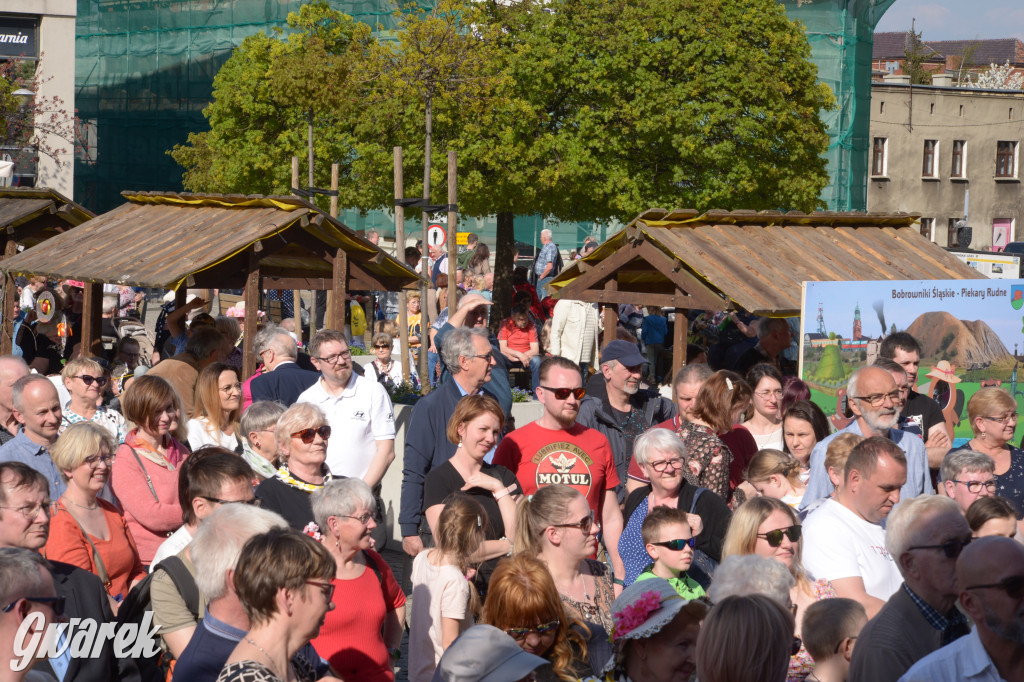 Tarnowskie Góry. Piękna z Rept