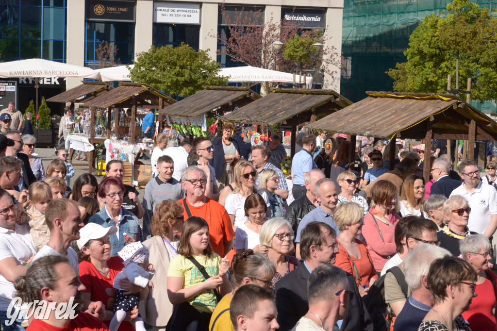Tarnowskie Góry. Piękna z Rept