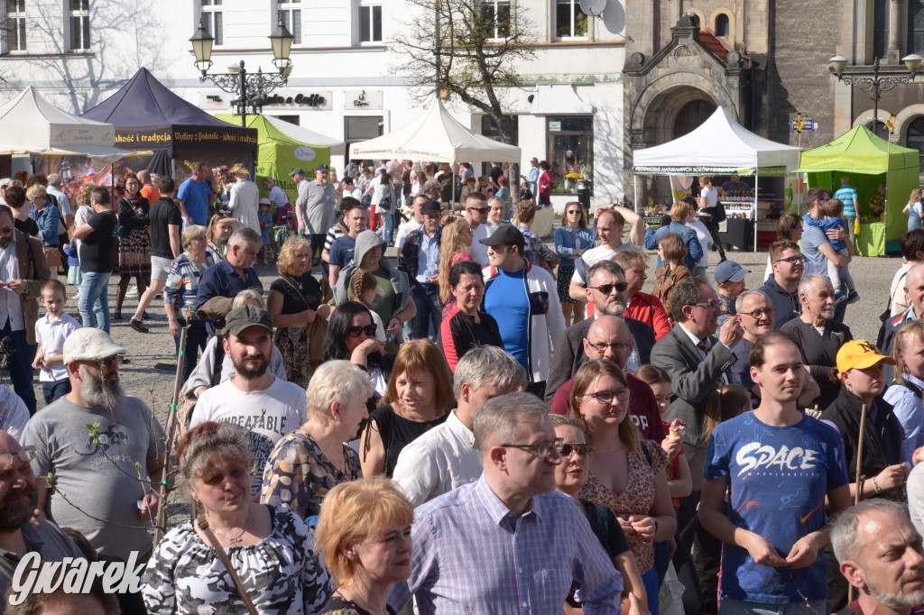 Tarnowskie Góry. Piękna z Rept