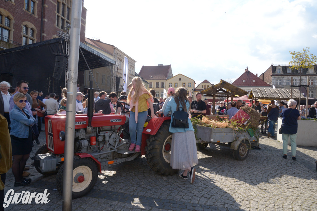 Tarnowskie Góry. Piękna z Rept