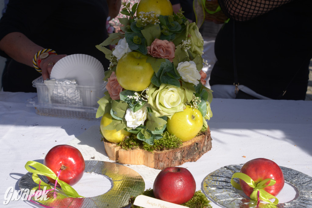 Tarnowskie Góry. Piękna z Rept