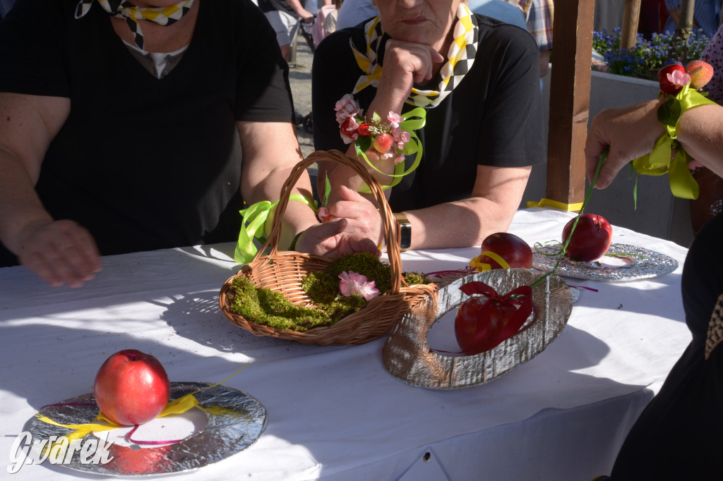 Tarnowskie Góry. Piękna z Rept