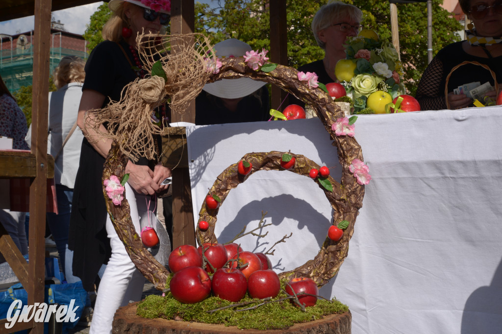 Tarnowskie Góry. Piękna z Rept