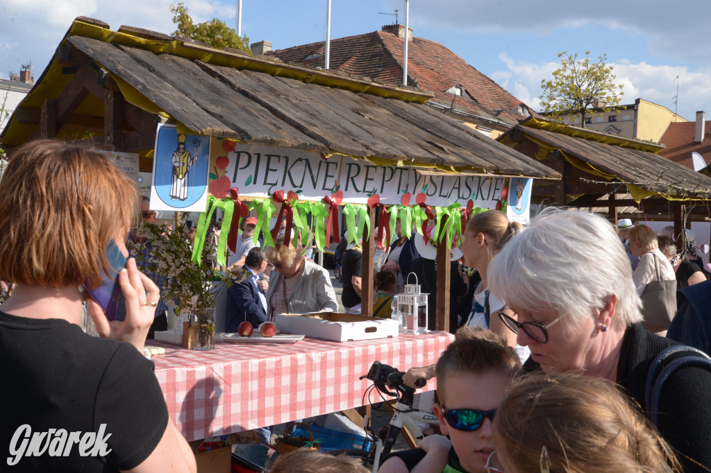 Tarnowskie Góry. Piękna z Rept