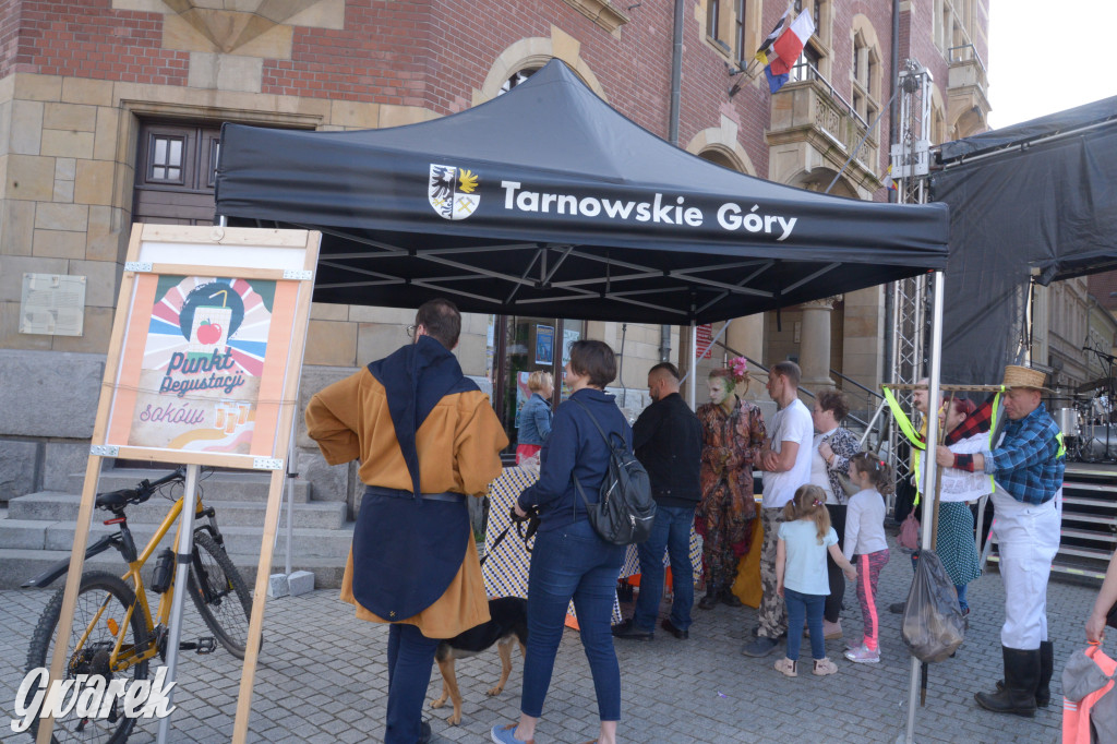 Tarnowskie Góry. Piękna z Rept