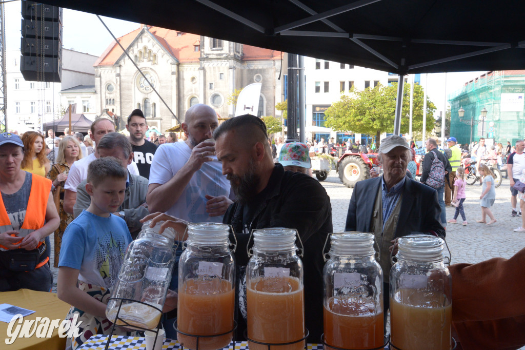 Tarnowskie Góry. Piękna z Rept