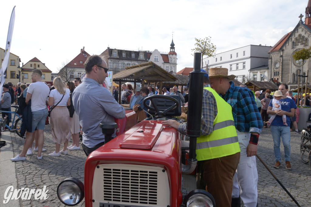Tarnowskie Góry. Piękna z Rept
