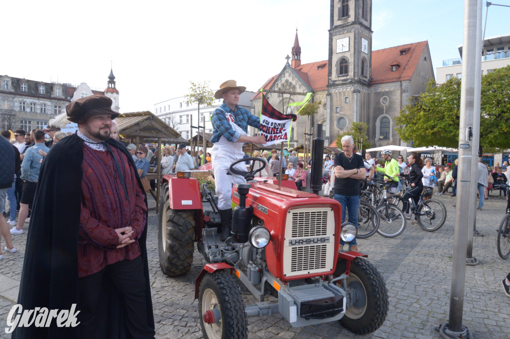 Tarnowskie Góry. Piękna z Rept