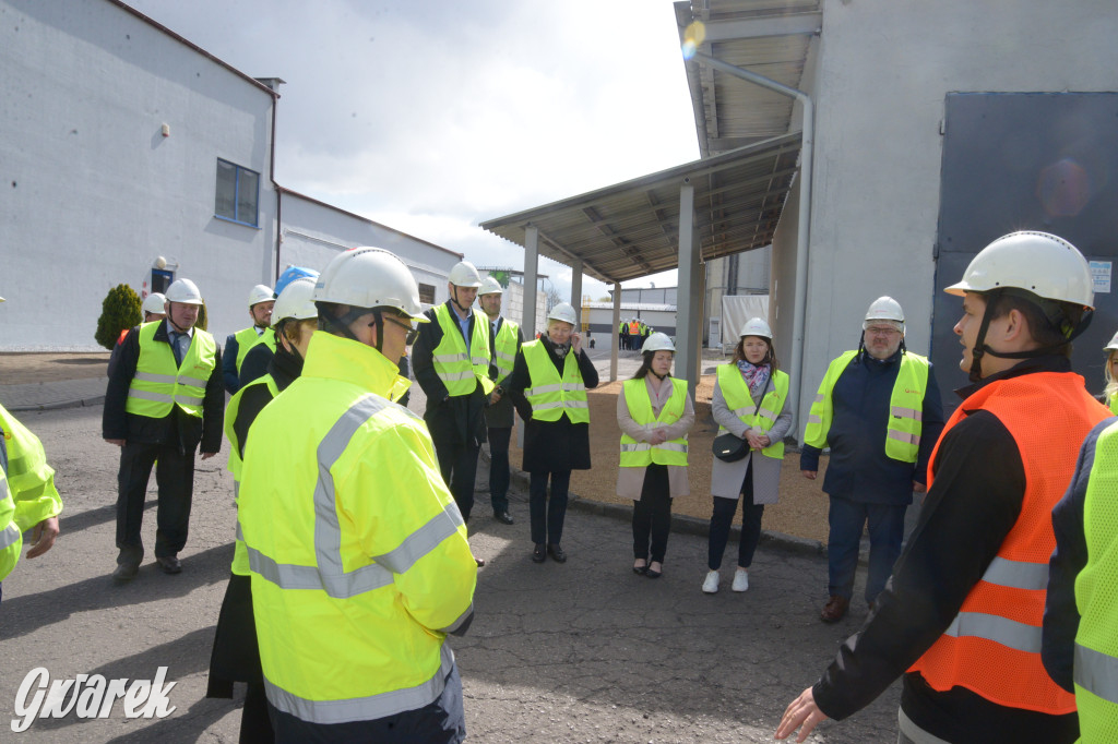 Tarnowskie Góry. Uruchomienie instalacji kogeneracyjnej