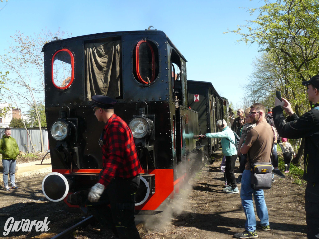 Wąskotorówka już ruszyła w trasę