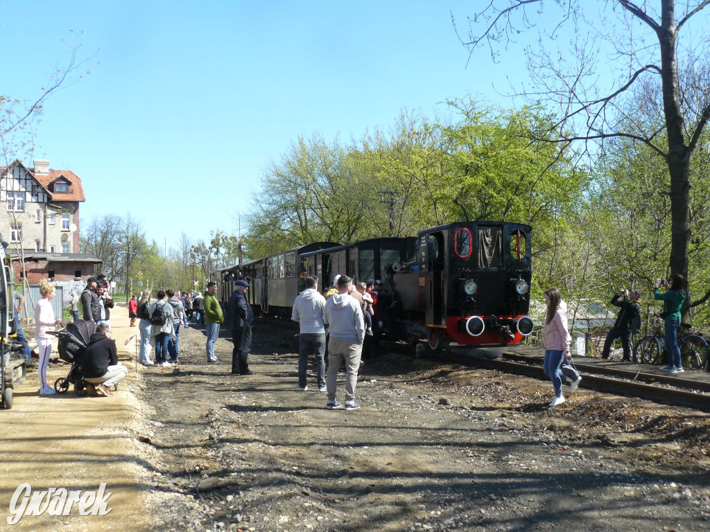 Wąskotorówka już ruszyła w trasę