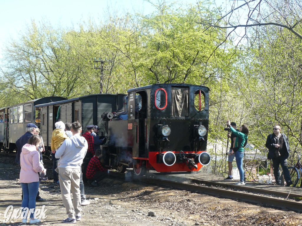 Wąskotorówka już ruszyła w trasę