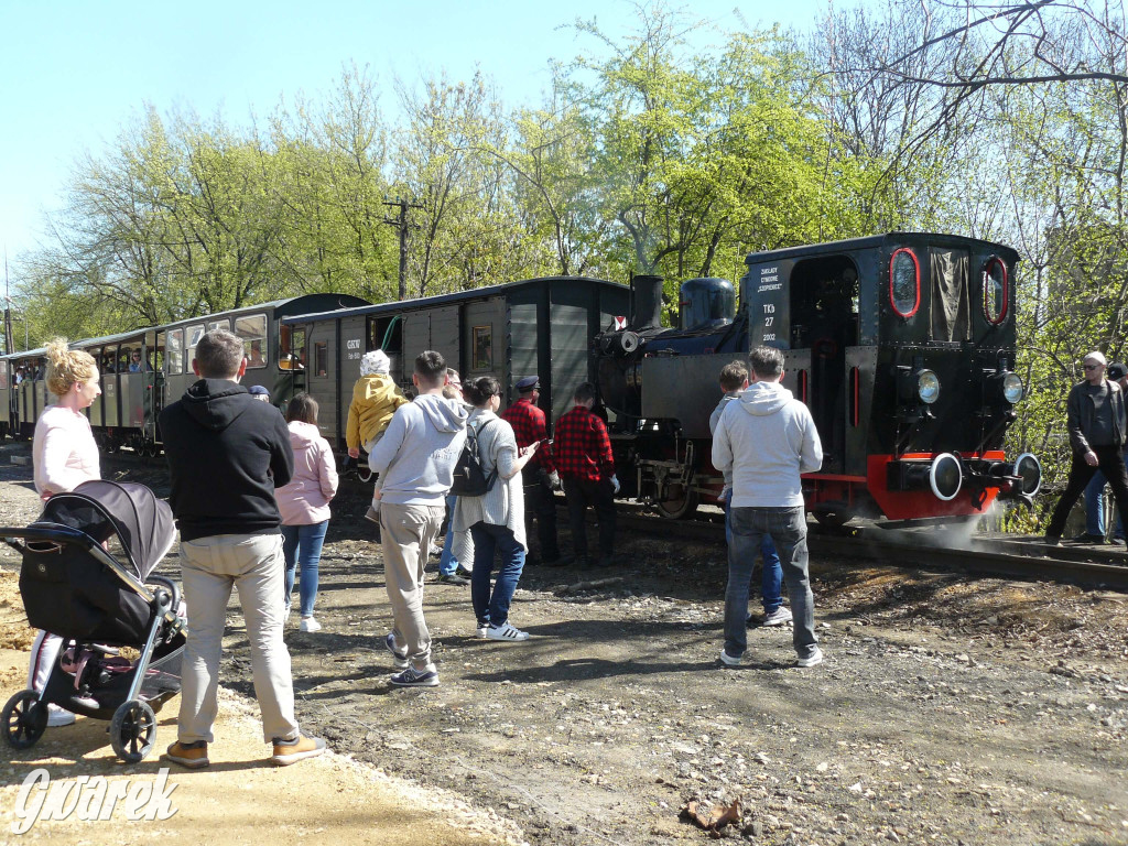 Wąskotorówka już ruszyła w trasę