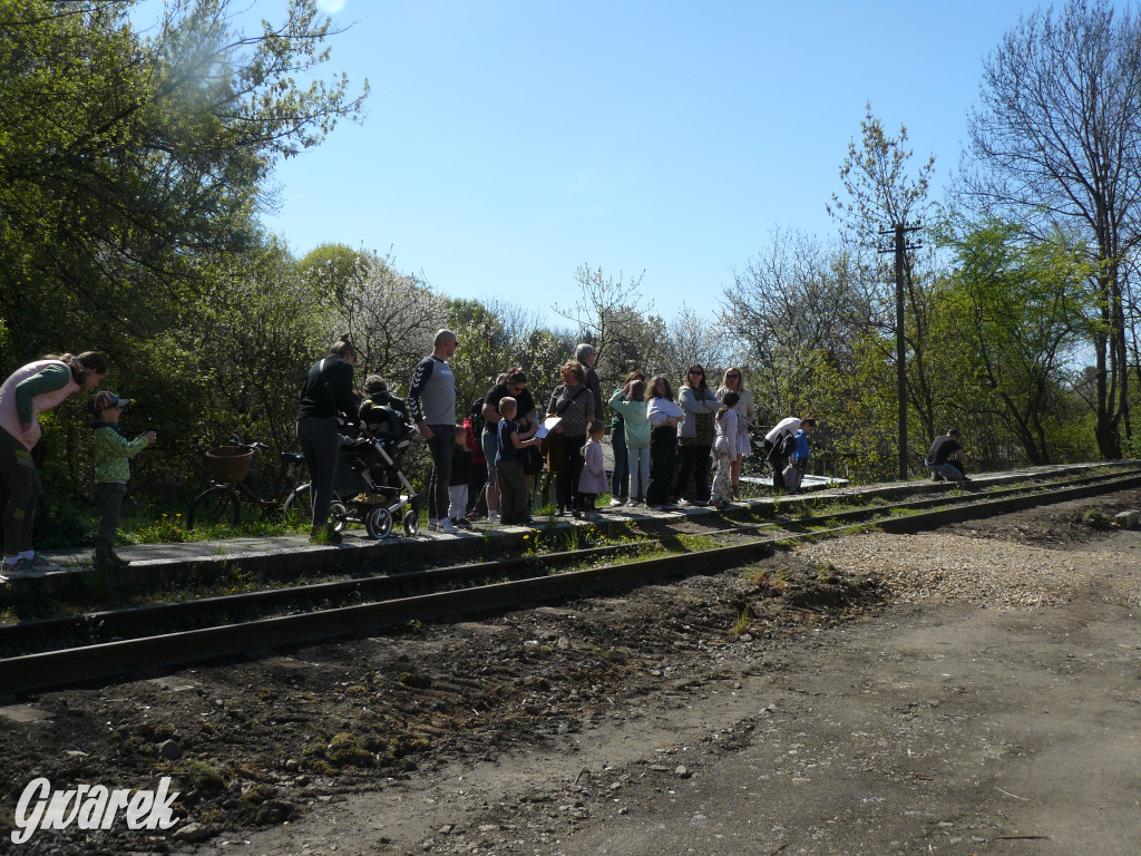 Wąskotorówka już ruszyła w trasę