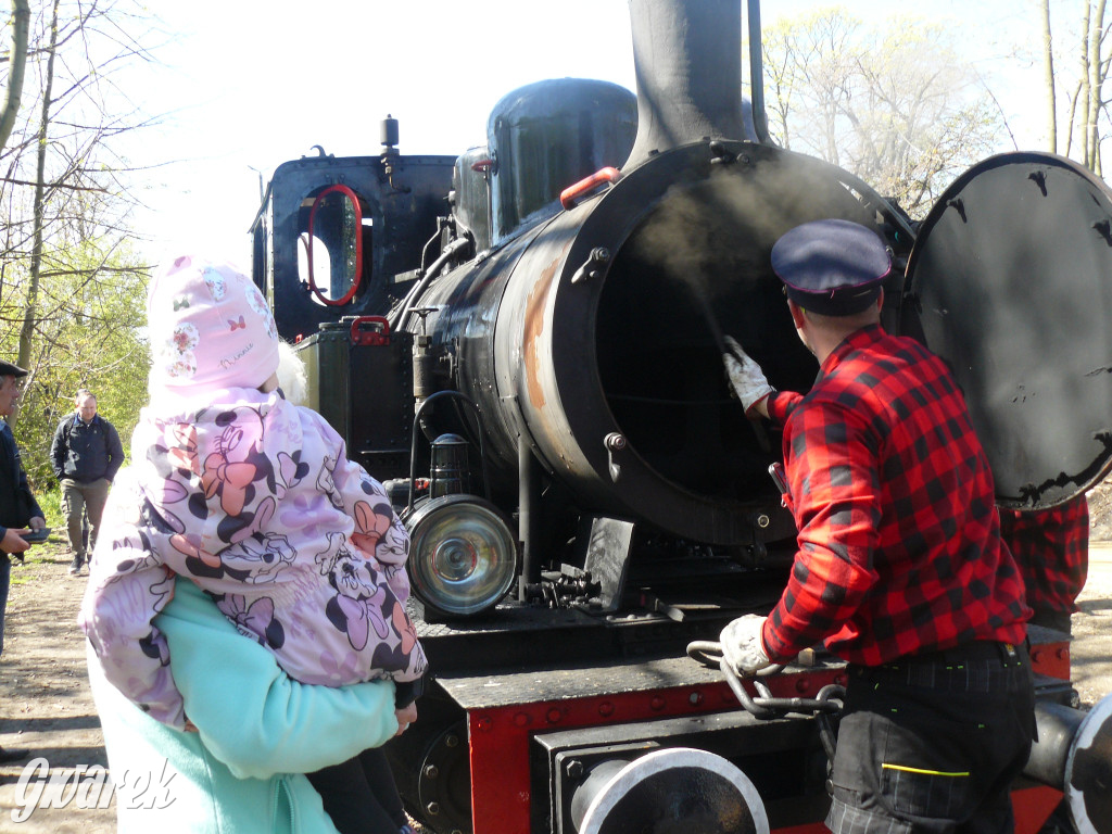 Wąskotorówka już ruszyła w trasę