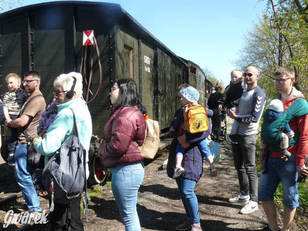 Wąskotorówka już ruszyła w trasę
