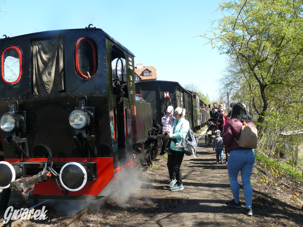 Wąskotorówka już ruszyła w trasę