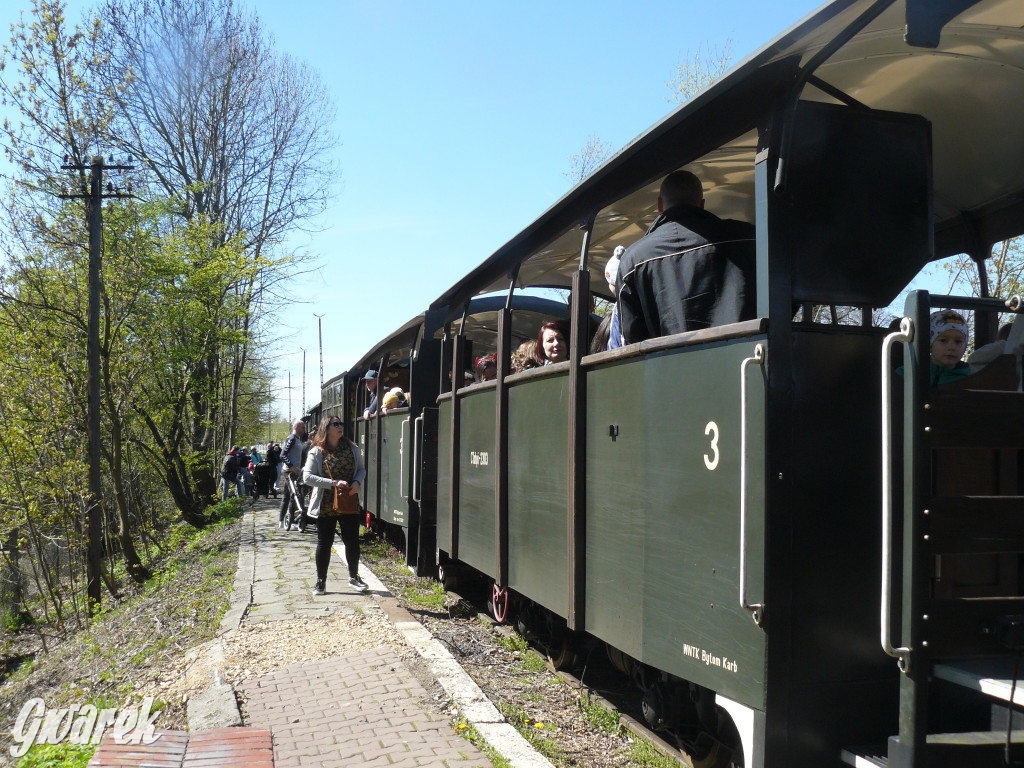 Wąskotorówka już ruszyła w trasę