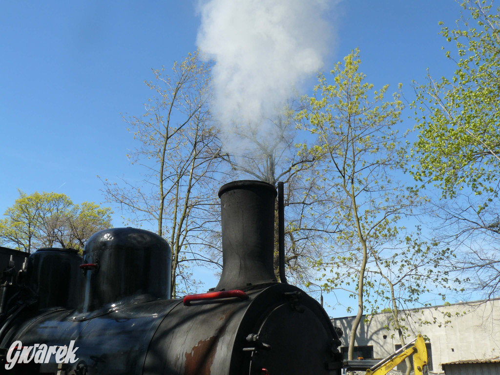 Wąskotorówka już ruszyła w trasę