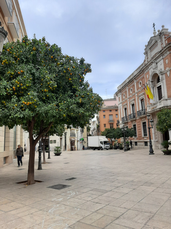 Tarnowskie Góry. Uczniowie Gastronomika w Walencji