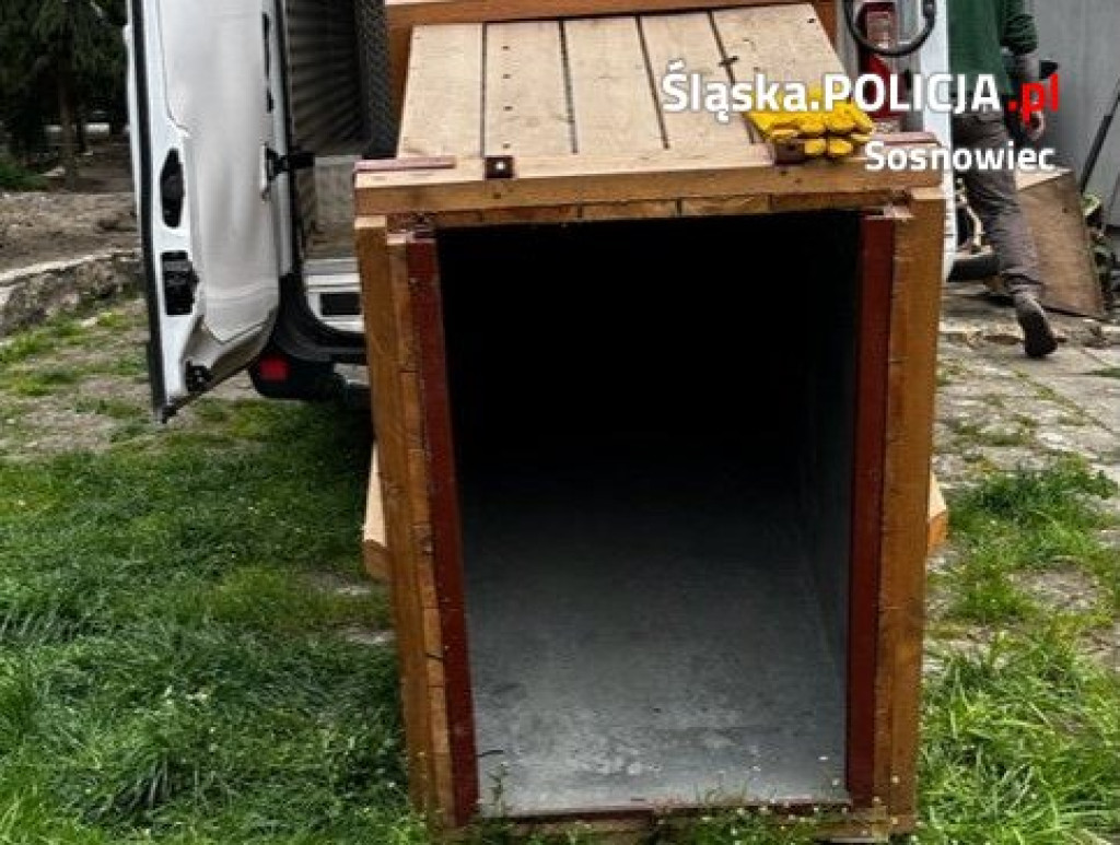 Dwa krokodyle trzymano w przybudówce przy garażu