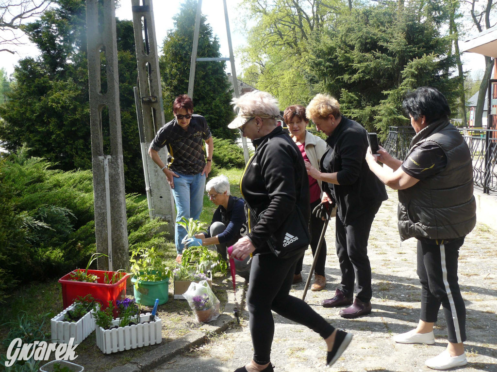 Sprzątanie okolicy i wymiana roślin