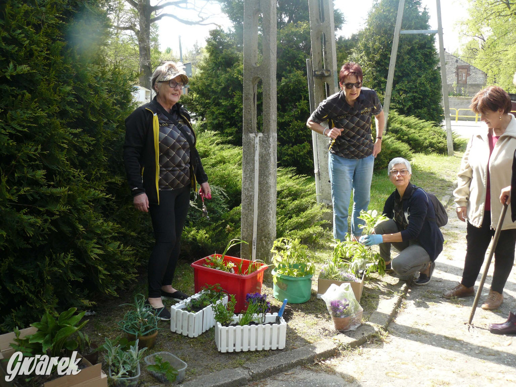 Sprzątanie okolicy i wymiana roślin