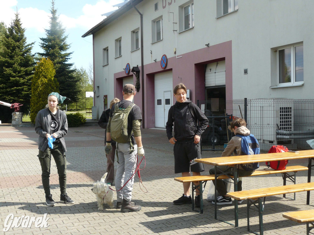Sprzątanie okolicy i wymiana roślin