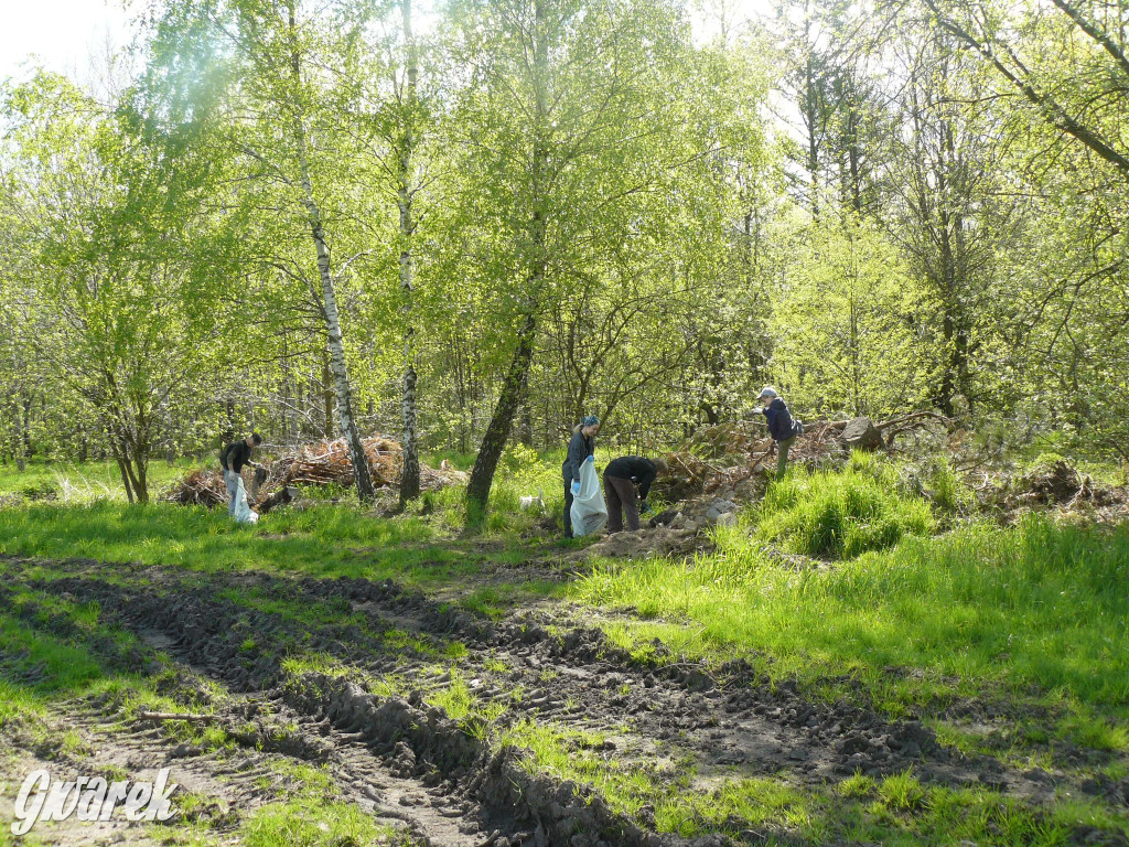 Sprzątanie okolicy i wymiana roślin