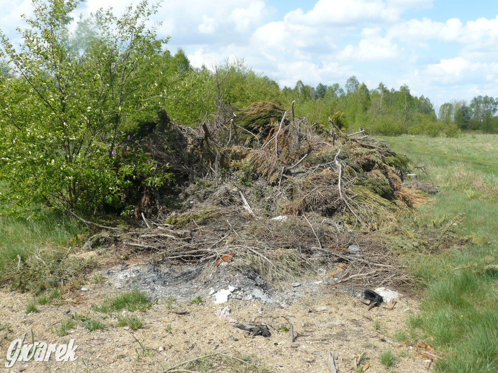 Sprzątanie okolicy i wymiana roślin
