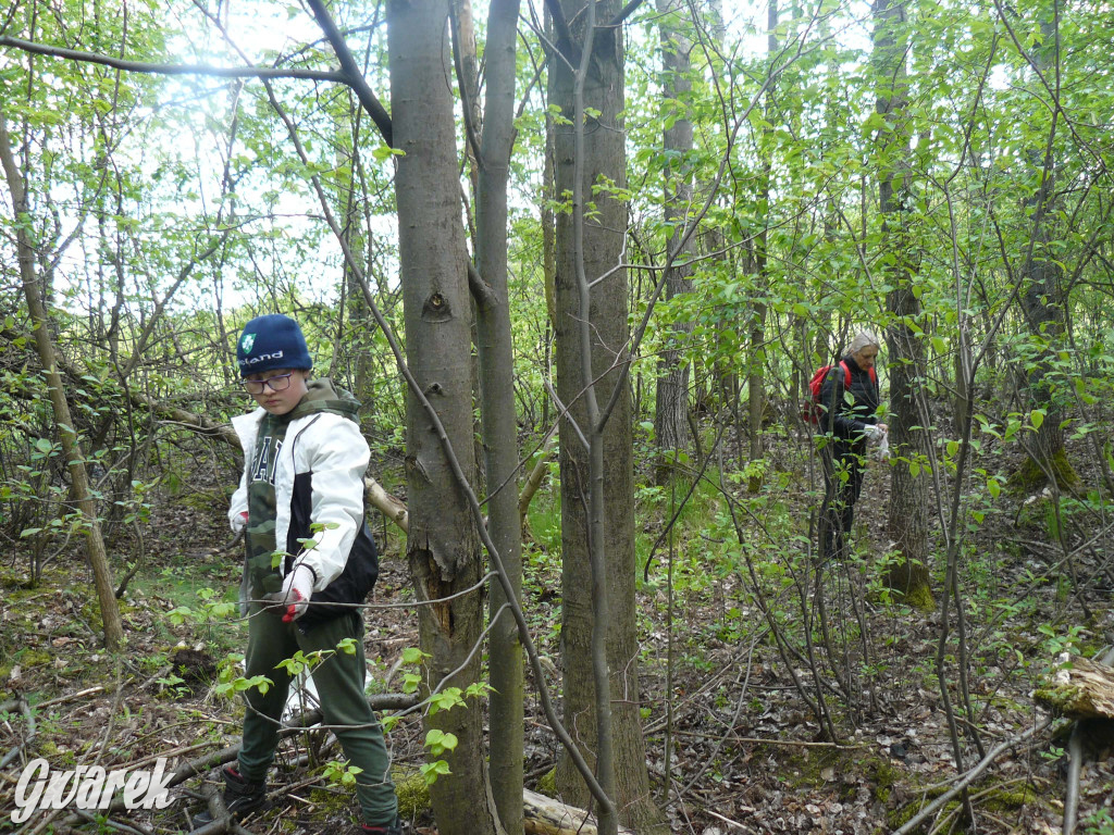 Sprzątanie okolicy i wymiana roślin