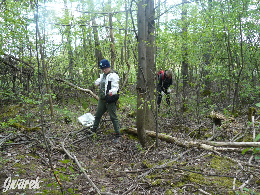 Sprzątanie okolicy i wymiana roślin